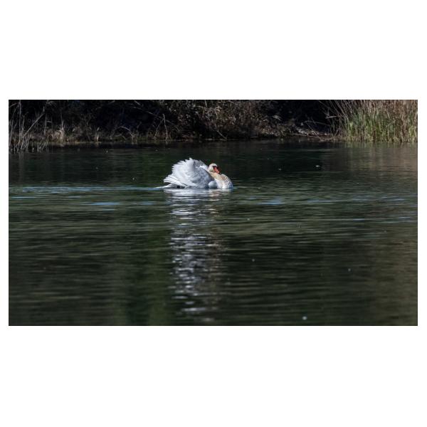 PHOTO84, CLUB, 84 , LUBERON